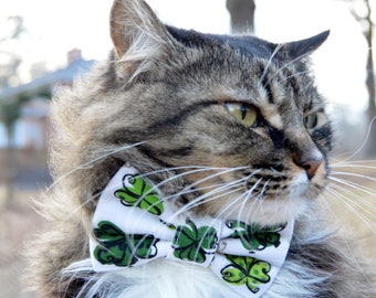 Four leaf clover cat collar, St. Patricks Day cat collar with bow, shamrock cat collar St. Patricks Day kitten bow, kitten collar, cat lover