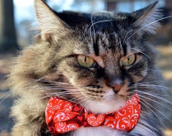 Red Valentines Day cat collar, Valentines Day cat bow tie, Valentines Day kitten collar, cat collar for valentines day, gift for cat lover