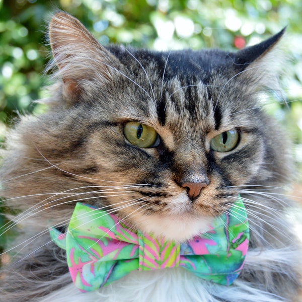 Tropical cat bow tie, Hawaiian cat collar, tropical summer cat collar, summer bow tie for cat, kitten bow tie collar, Quick release collar