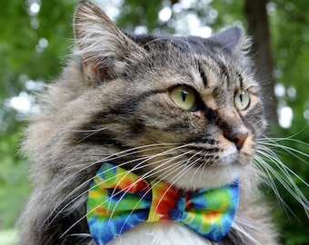 Tie dye cat collar, tie dye bow tie for cat, tie dye, cat bow tie collar, cat collar bow tie, kitten collar, kitten bow tie, quick release