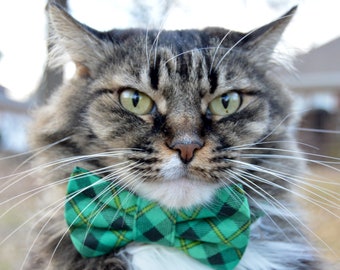 Green plaid cat bow tie collar, St. Patricks Day cat collar, green checkered cat bow tie, plaid bow tie collar for cat, gift for cat lover