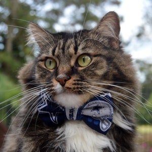 patriots cat collar