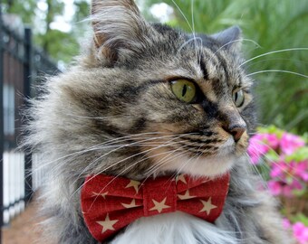 Patriotic cat bow tie collar, 4th of july bow tie collar for cat, Patriotic Cat costume, cat bow tie with stars, fourth of July cat collar