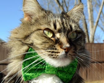 Celtic cat collar, St Patricks Day bow tie collar cat, St. Patricks Day cat collar, kitten bow, kitten collar, cat costume, green cat collar