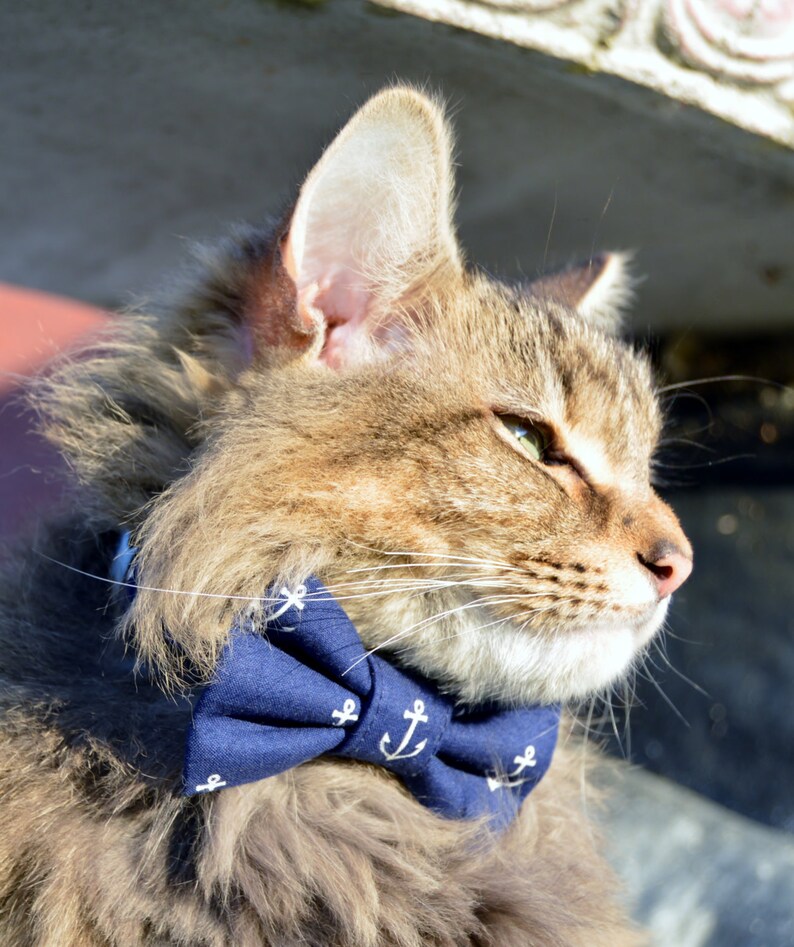 Blue Nautical Cat Bow Tie Collar Cat Bow Tie Cat Collar Etsy