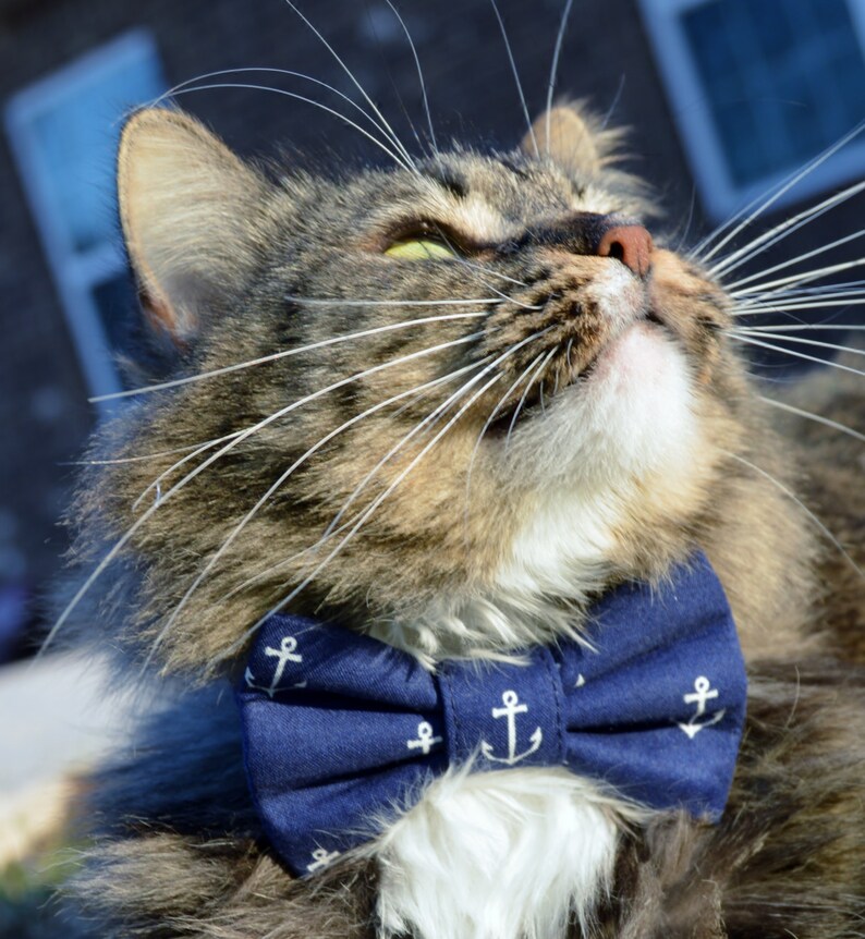 Blue Nautical Cat Bow Tie Collar Cat Bow Tie Cat Collar Etsy