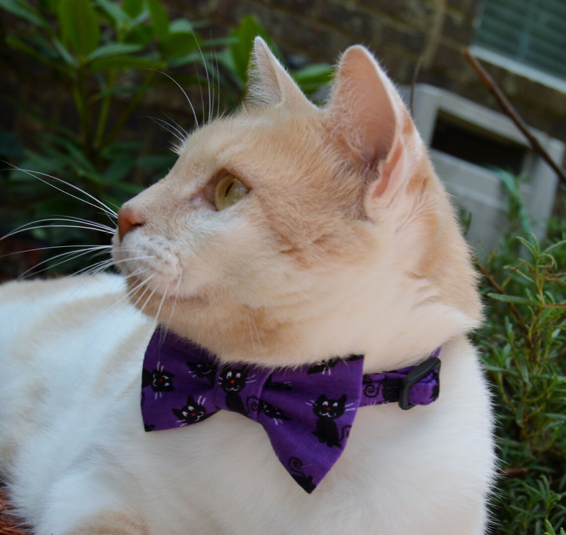 Black Cat Halloween Cat Collar Halloween Cat Bow Tie Etsy