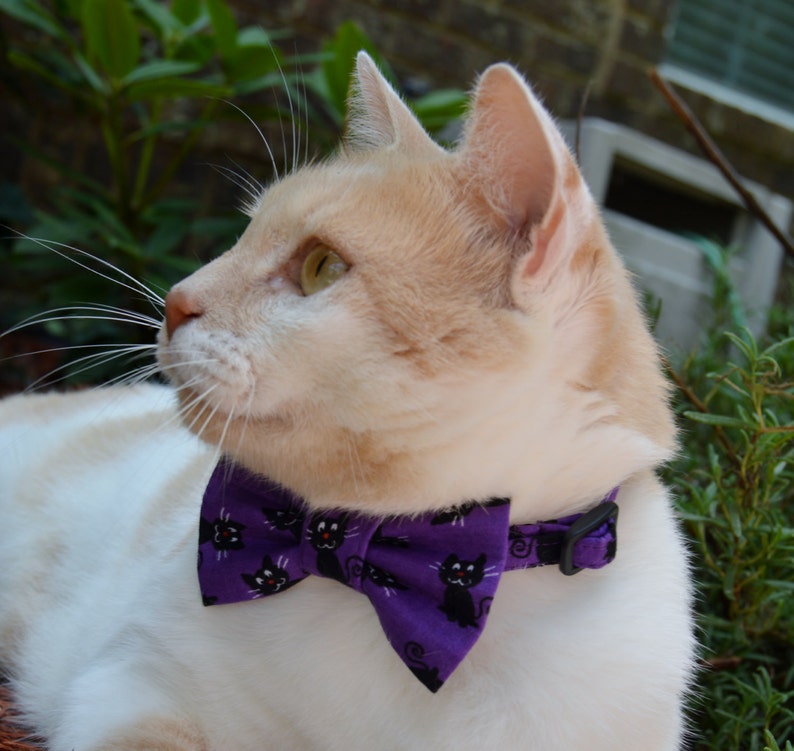 Black Cat Halloween Cat Collar Halloween Cat Bow Tie Etsy