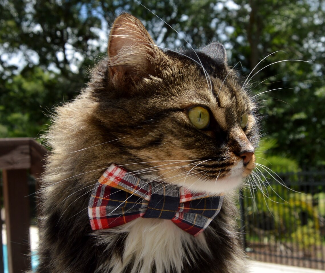 Plaid bow tie for cat red blue and white plaid collar plaid Etsy