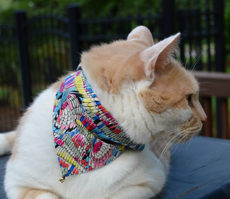 2 Skull Cat Bandanas Set of 2 Reversible Slip Over Collar Etsy