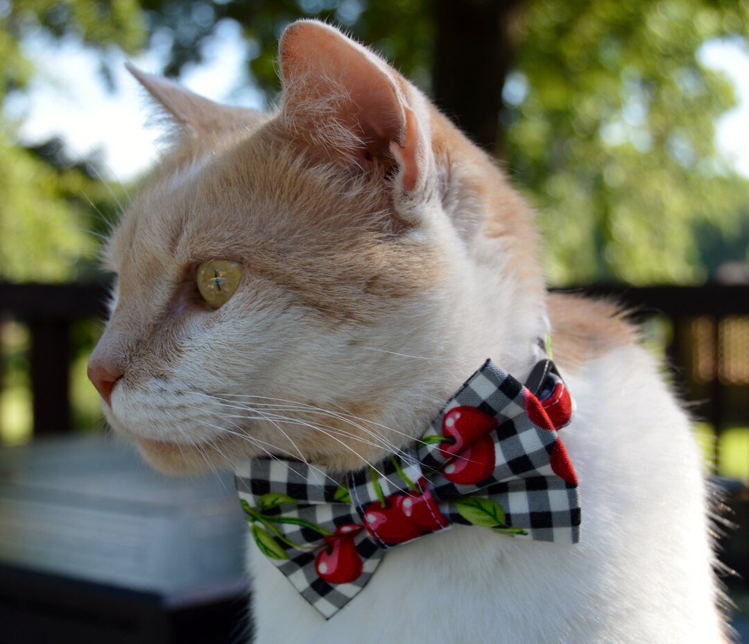 Checkered Cat Collar and Bow Tie With Cherries Cat Bow Tie Etsy