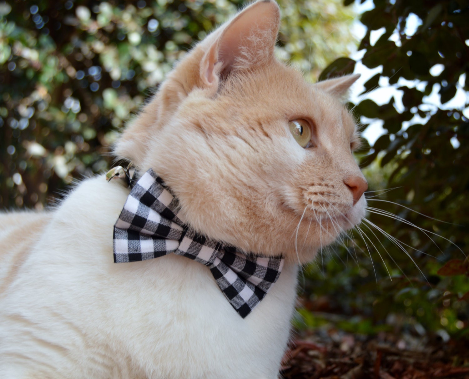 Plaid Cat Bow Tie With Matching Collar Checkered Cat Collar Etsy
