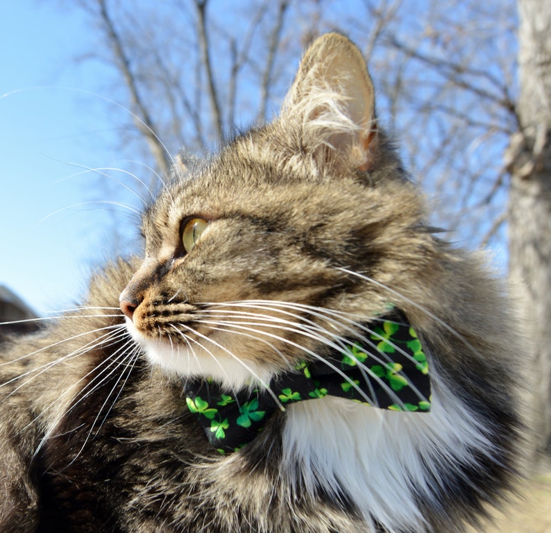 led st patricks day bow tie