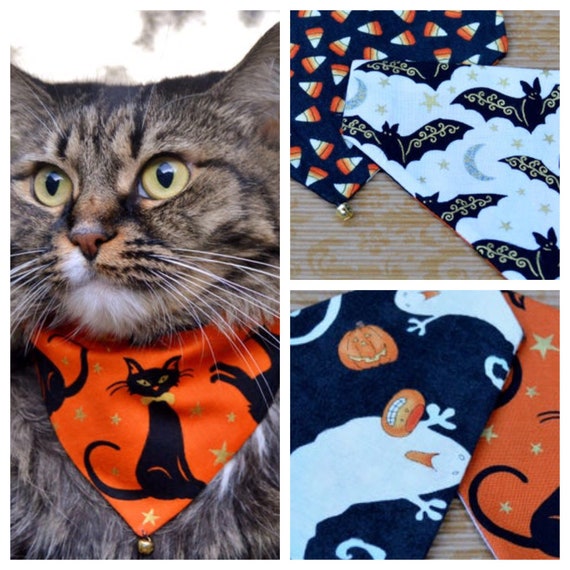 halloween cat bandana