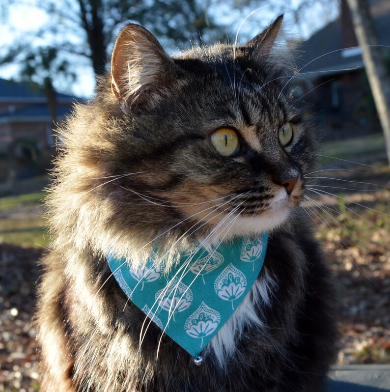 arrow cat bandanas 2 reversible slip over collar cat bandanas nature cat bandana bandana for cat 2 Birds of a feather cat bandanas