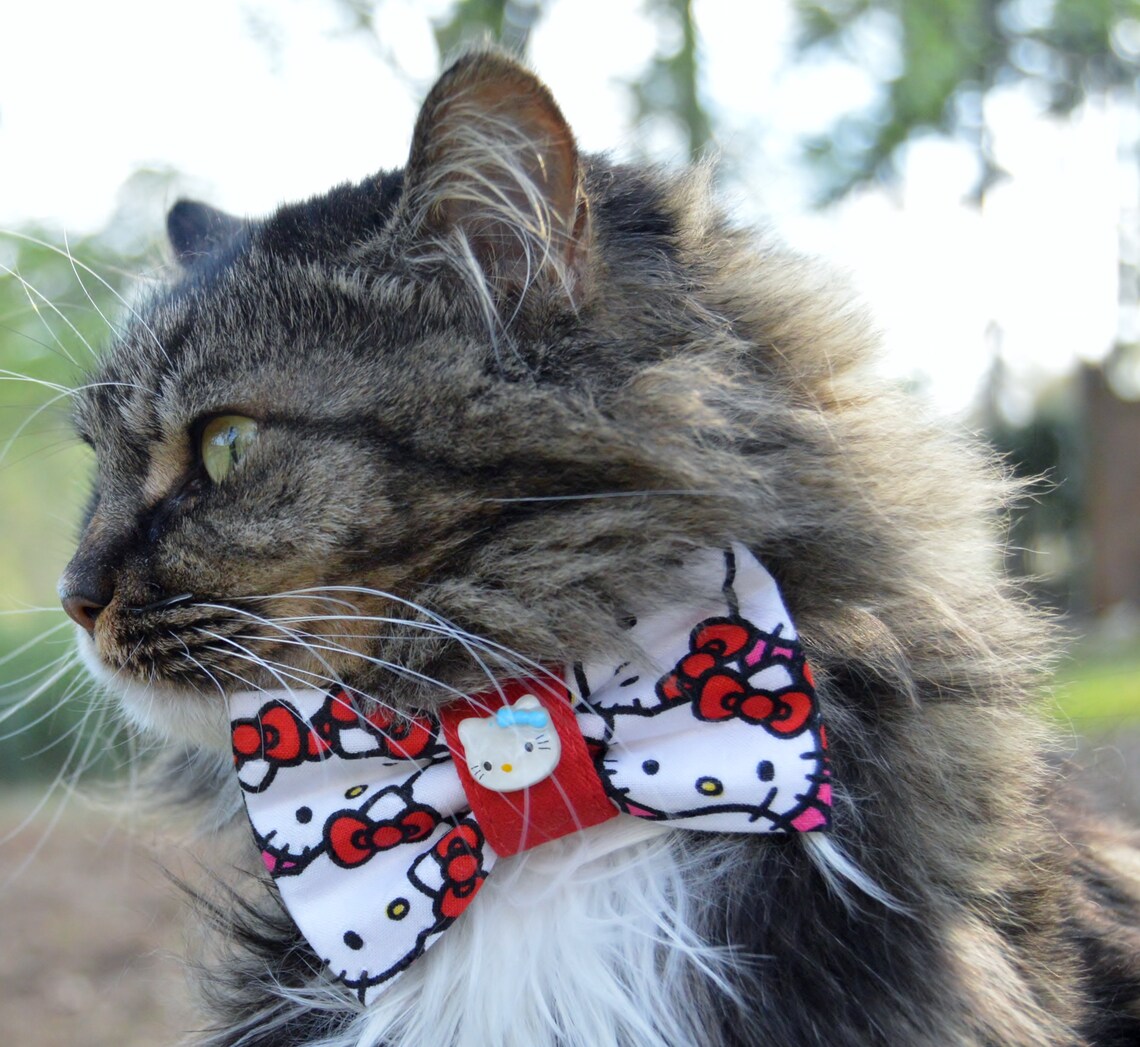 Hello kitty cat bow tie collar Hello kitty cat collar Hello Etsy