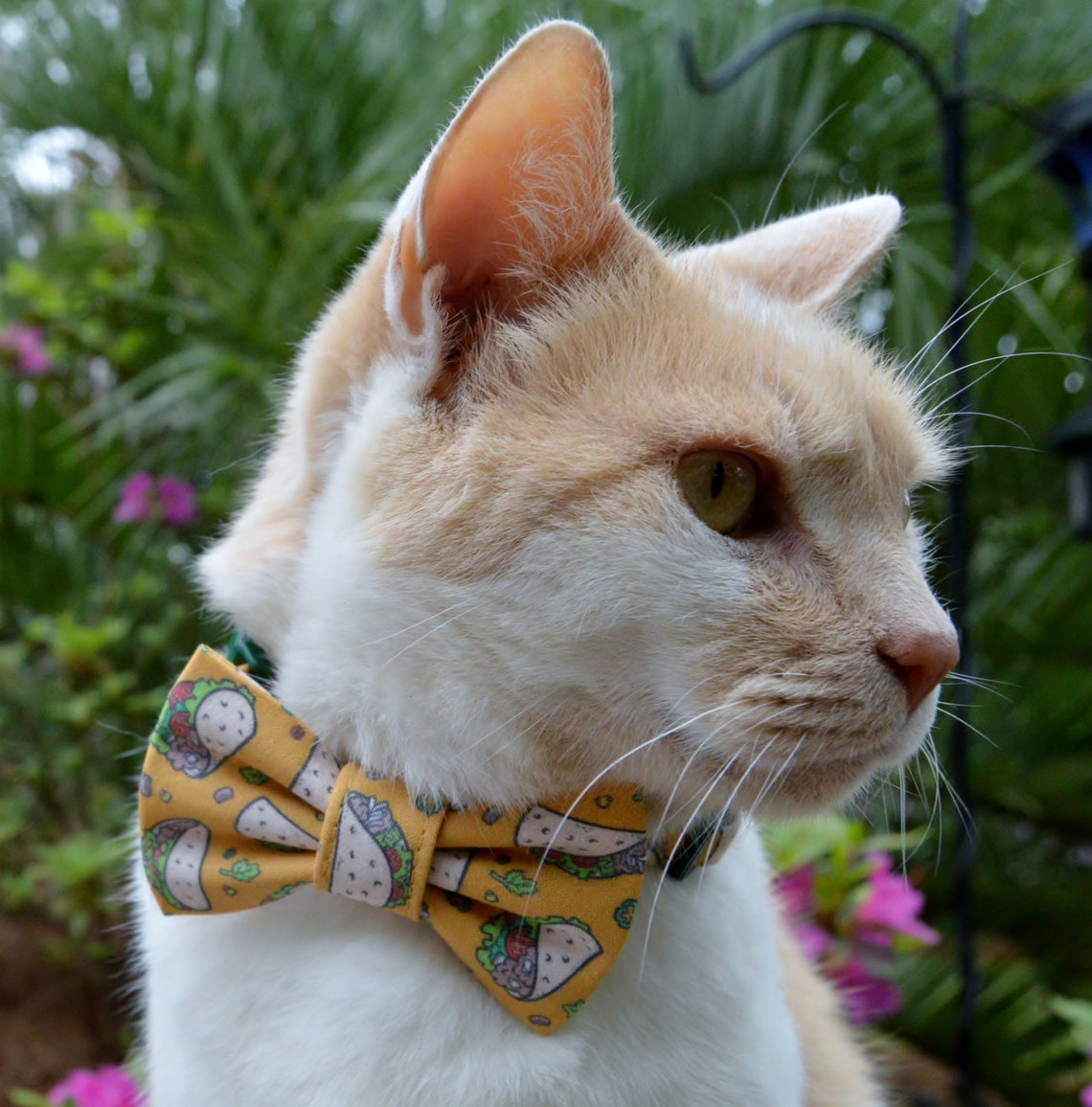 Taco bow tie collar for cat taco cat collar taco cat bow Etsy