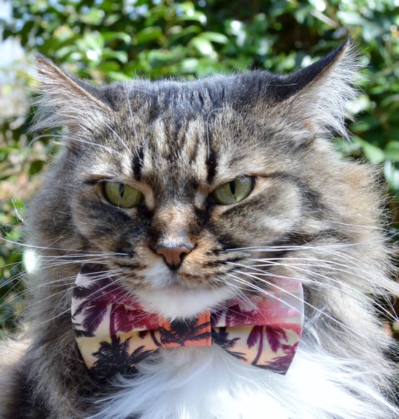 Tropical Palm Tree Collar