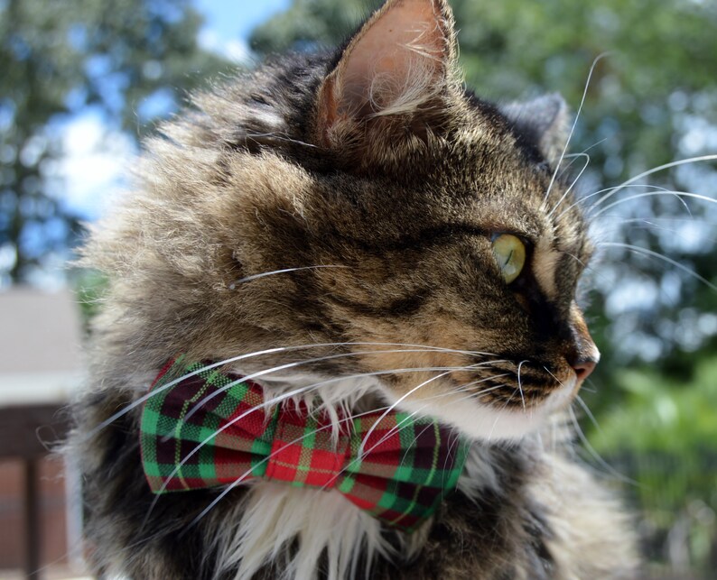 Christmas plaid cat collar plaid bow tie for cat plaid cat Etsy