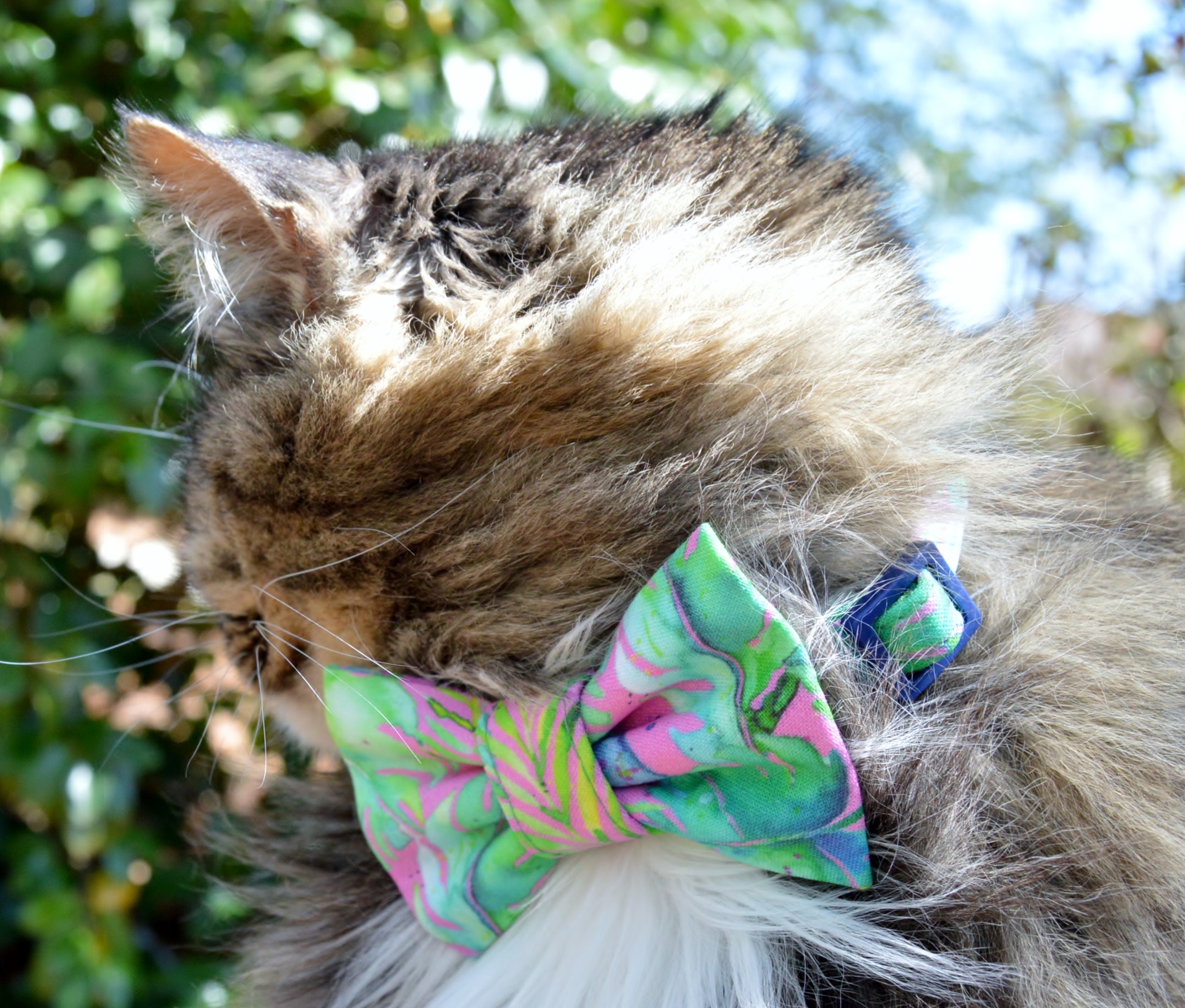 Tropical Cat Bow Tie Hawaiian Cat Collar Tropical Summer Cat Etsy