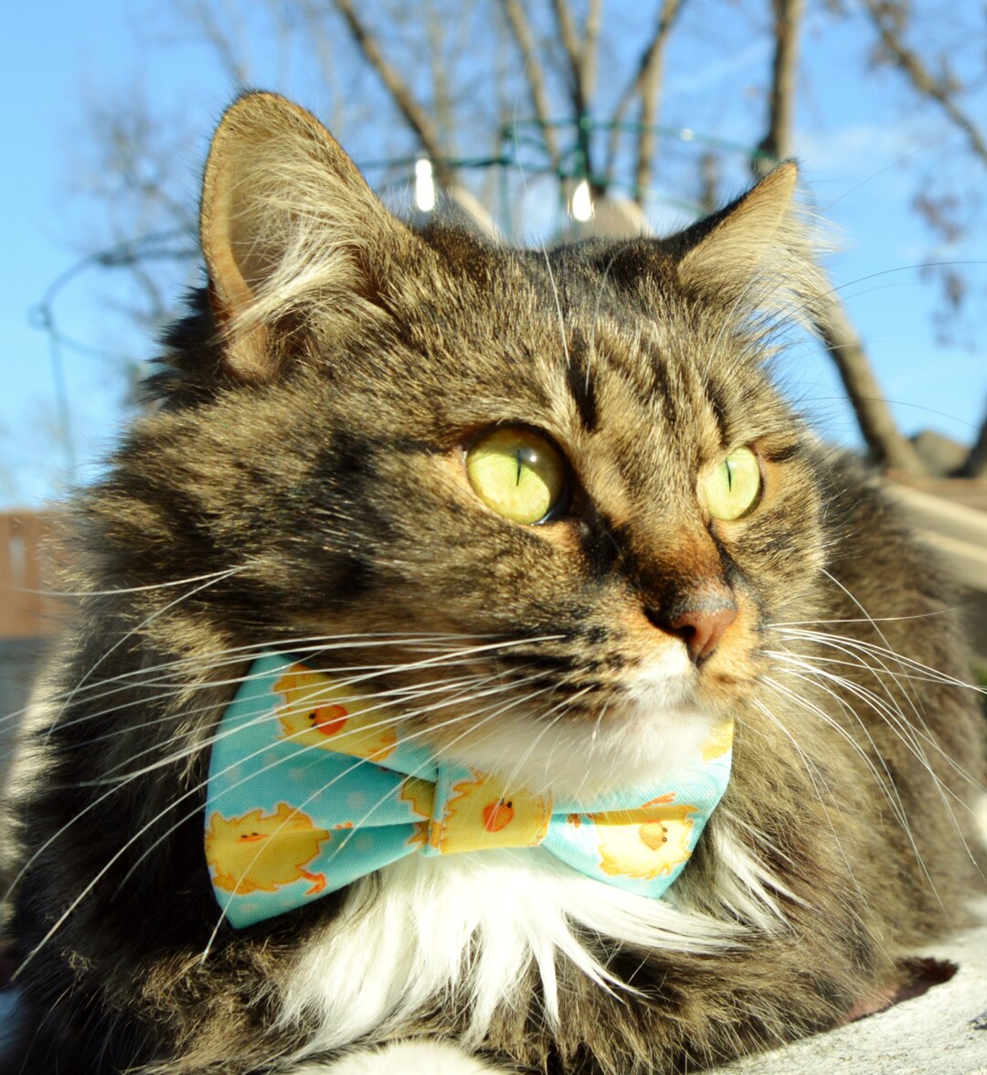Spring Chicks Cat Bow Tie Collar, Spring Time Cat Collar, Cat Bow Tie, Cat Collar, Springtime
