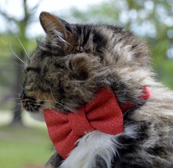 Red Shimmer Cat Bow Tie Collar Red Glitter Cat Collar Red Cat