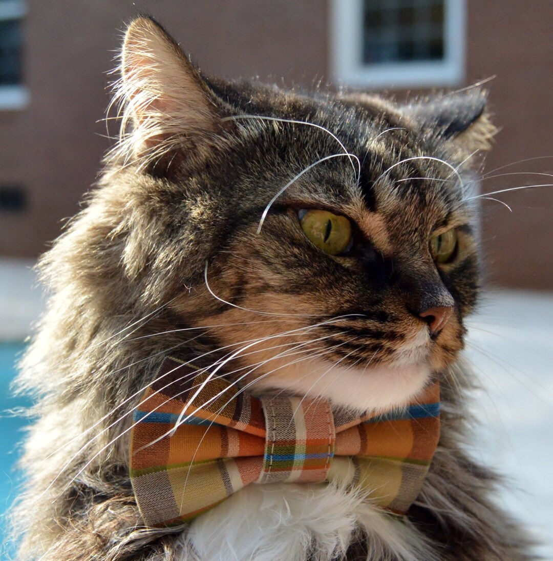Plaid Bow Tie for Cat, Plaid Collar for Fall, Plaid Cat Collar, Plaid