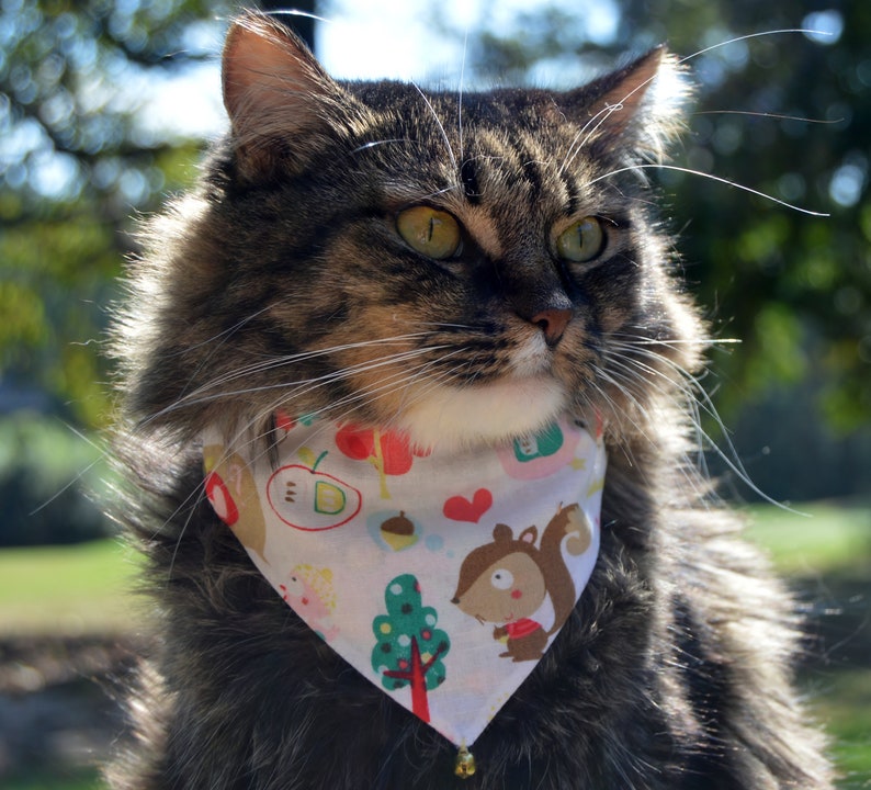 Fall cat bandanas set of 2 reversible slip over collar cat Etsy