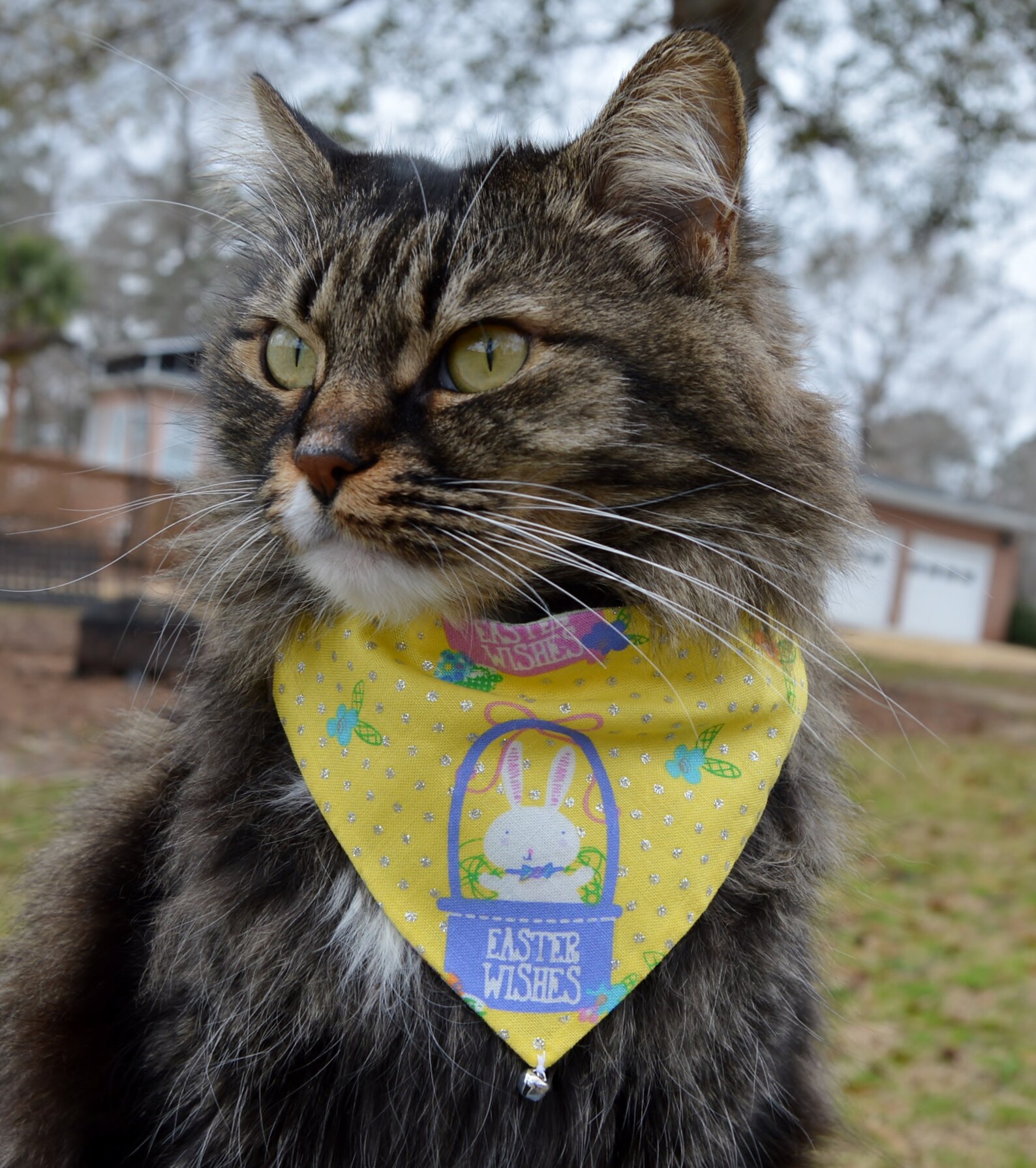 2 Easter Cat Bandanas 2 Cat Bandanas for Easter Set of 2 Etsy
