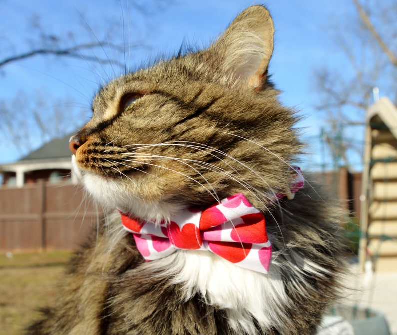 Heart Valentines Cat Collar With Bow Tie Valentines Day Cat Etsy