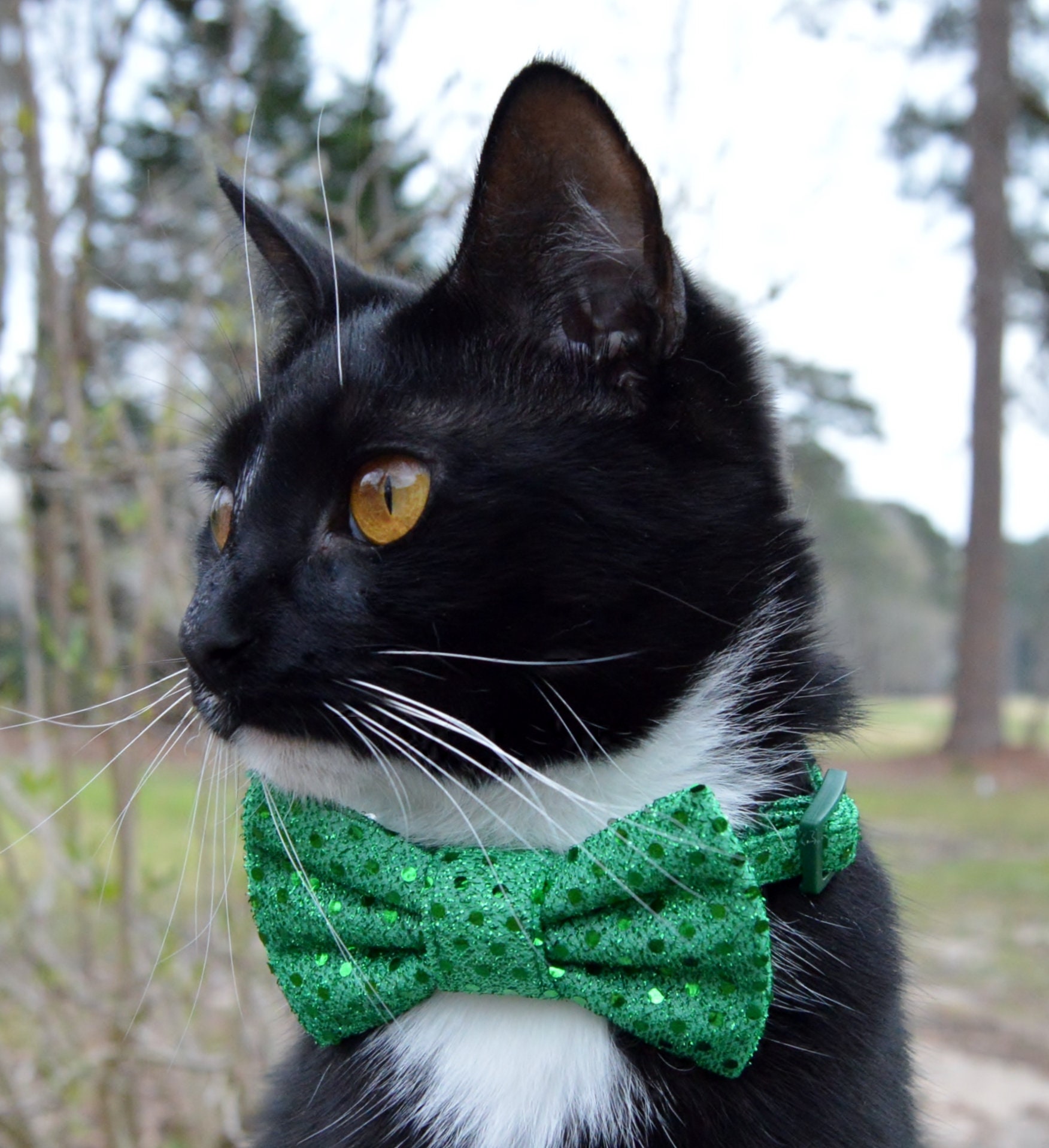 Green sequin cat bow tie collar Green sequin cat collar Etsy