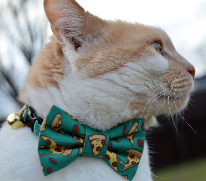 Pizza bow tie collar for cat pizza cat collar with bow tie Etsy
