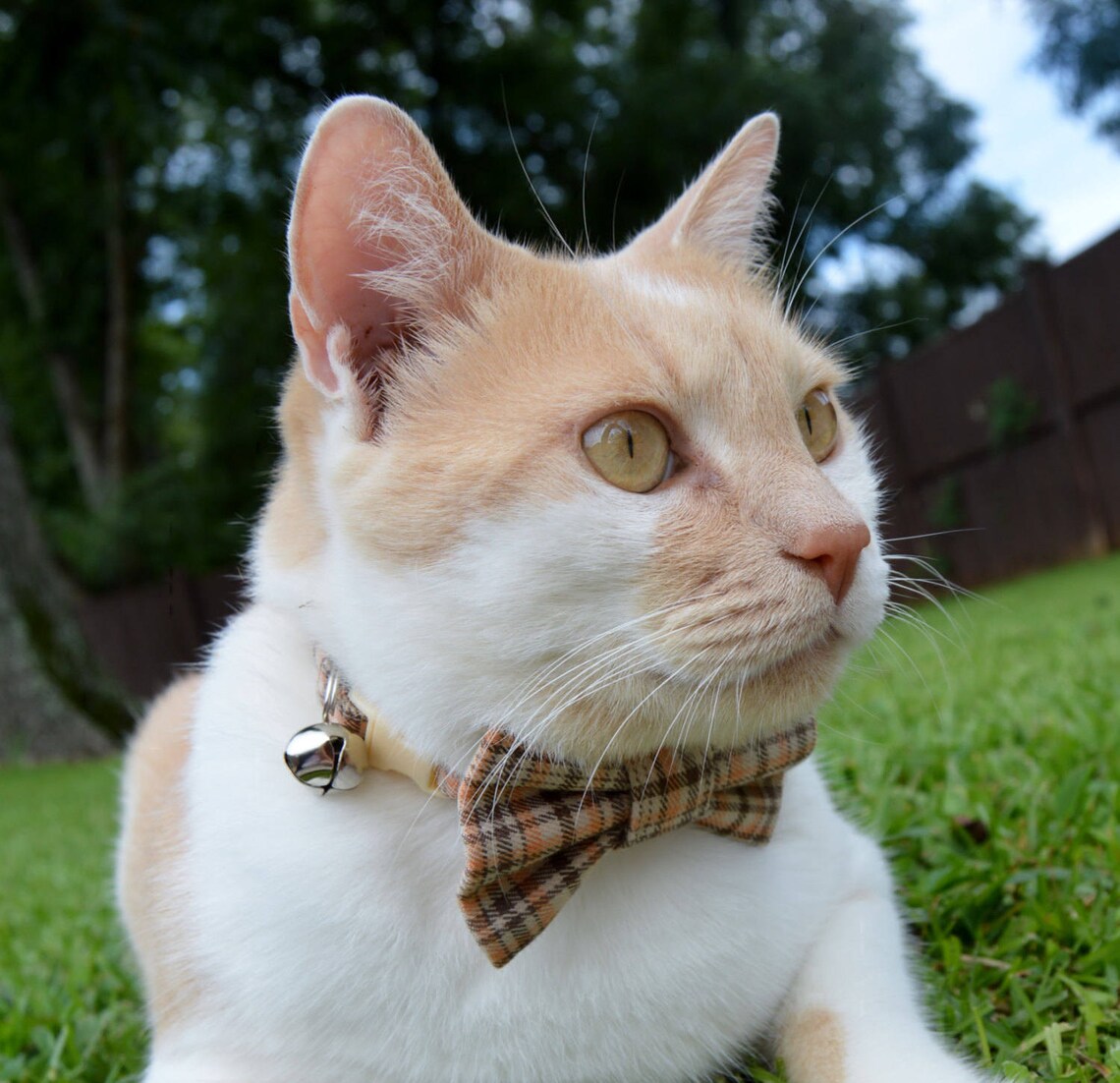 Fall plaid cat bow tie Plaid cat collar plaid Thanksgiving Etsy