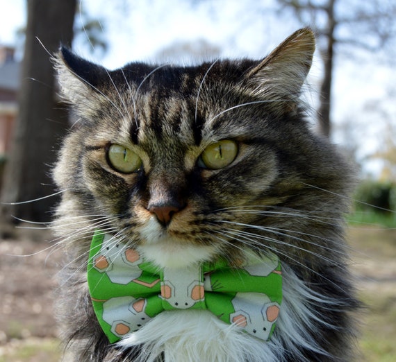 Mouse Cat Bow Tie Mouse Cat Collar Mice Cat Bow Tie Collar