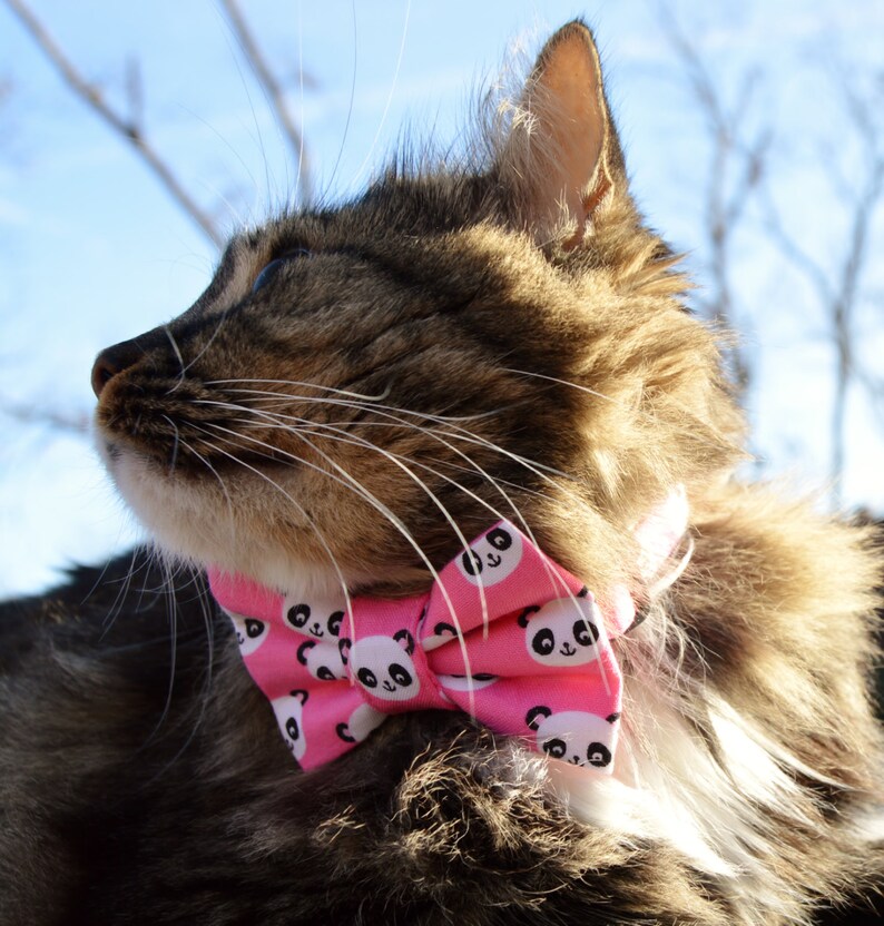 Pink Panda Cat Bow Tie Panda Cat Collar Pink Cat Collar Etsy