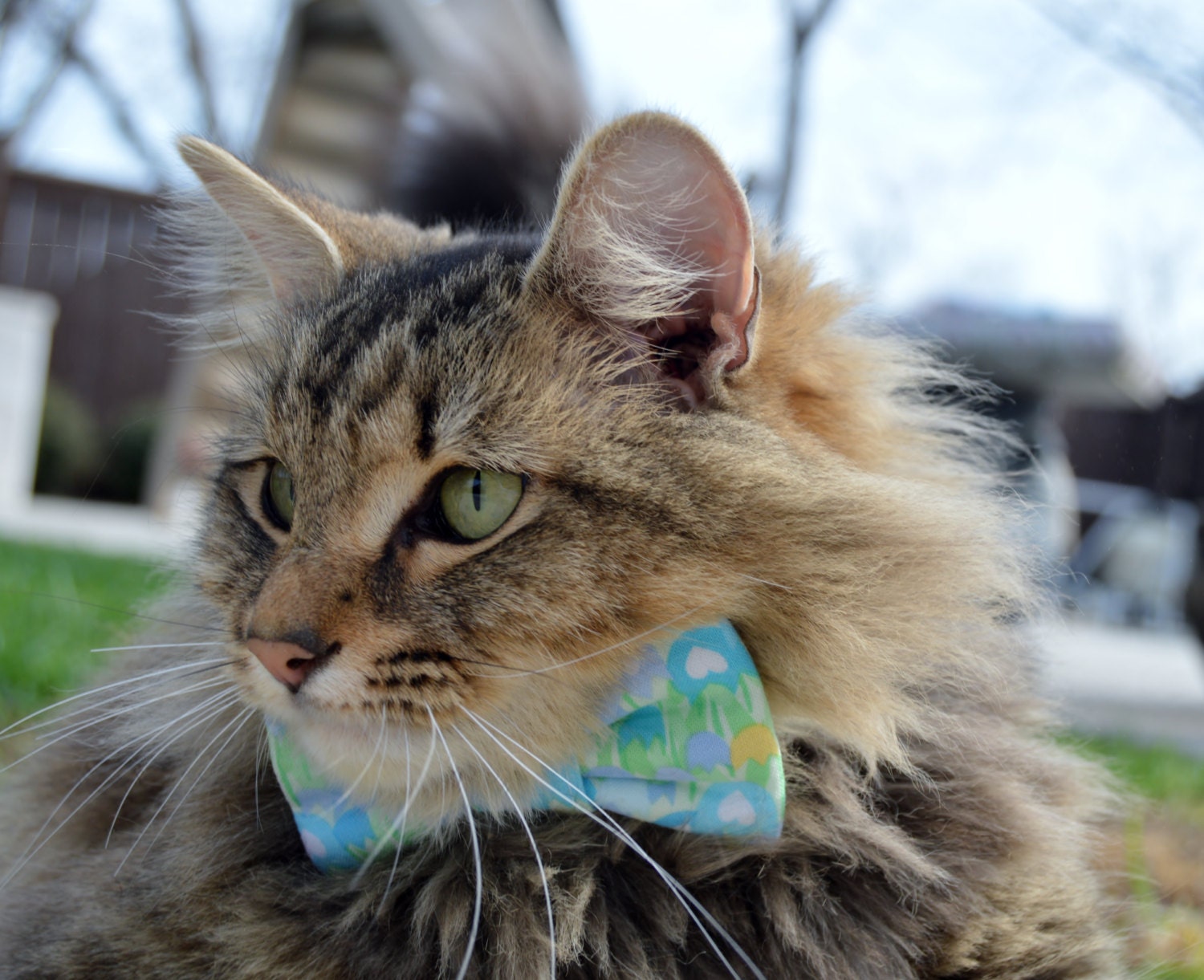 Spring tulip cat bow tie cat collar Spring time cat bow tie Etsy