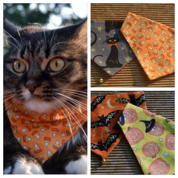 halloween cat bandana