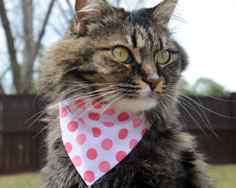 2 Girl themed cat bandanas, Set of 2 reversible slip over collar, pretty cat bandanas, Cat costume, girl cat bandana, girl dog bandana