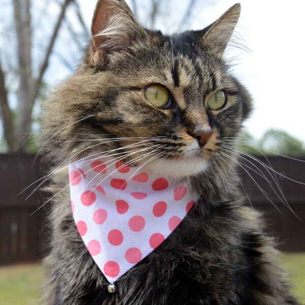 Dog Bandana Over the Collar Etsy