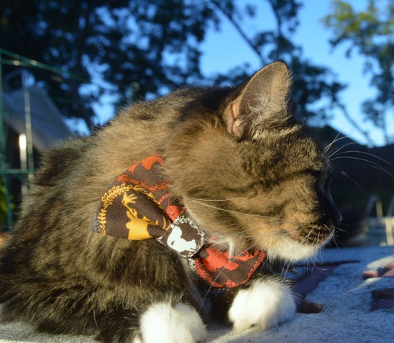 Etsy 2024 cat tie