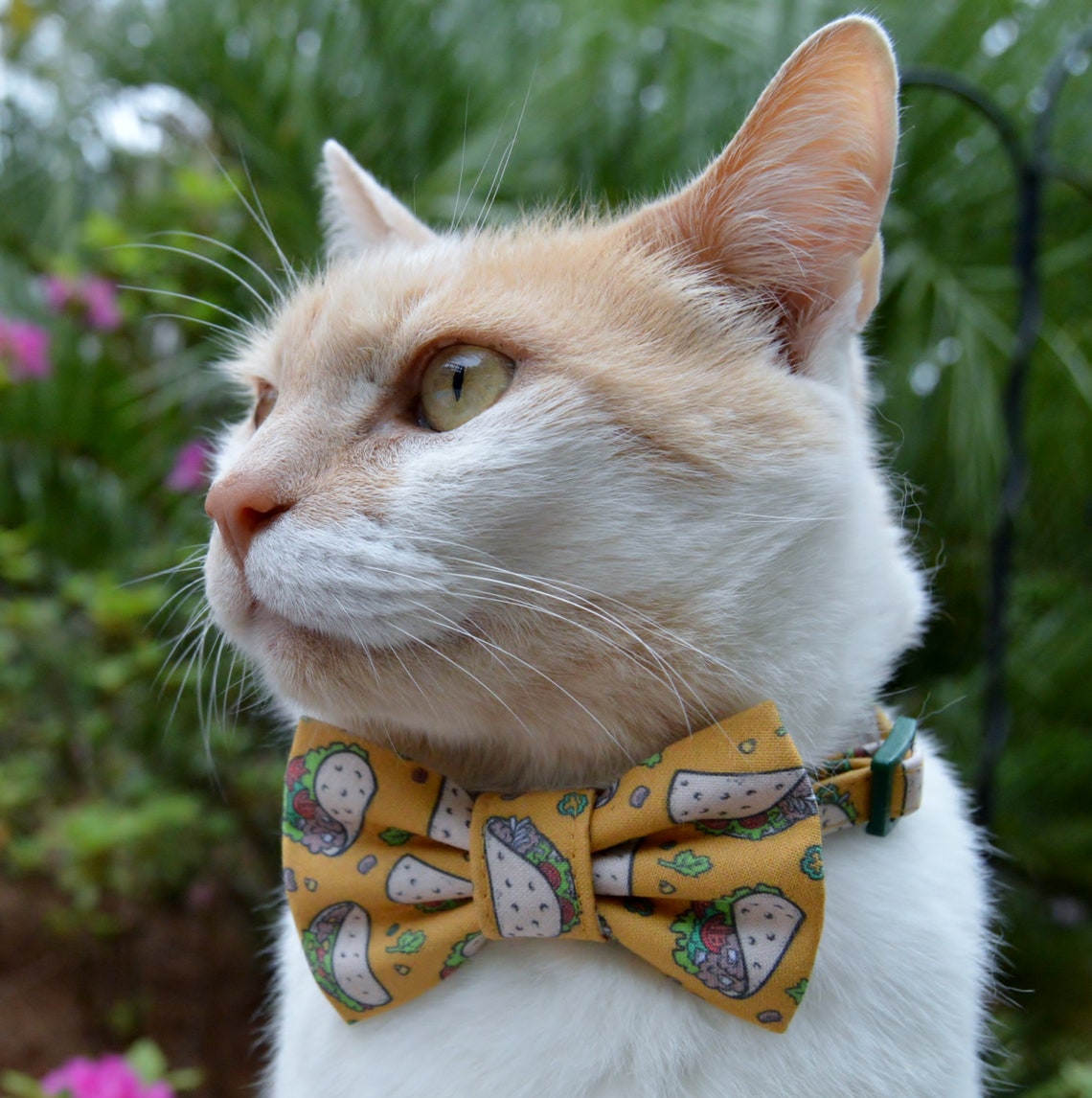 Taco bow tie collar for cat taco cat collar taco cat bow Etsy