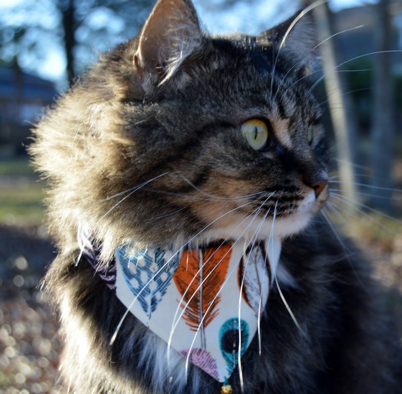 arrow cat bandanas 2 reversible slip over collar cat bandanas nature cat bandana bandana for cat 2 Birds of a feather cat bandanas