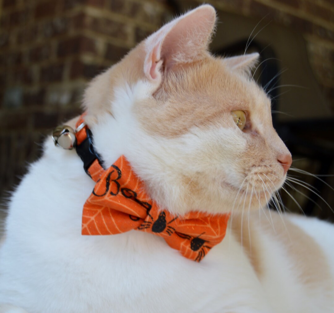 Orange Striped Candy Adjustable Dog Collar Girl Boy Spring 