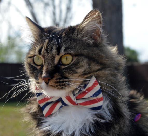 etsy cat tie