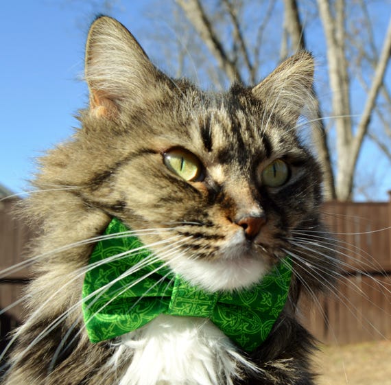 Celtic cat collar, St Patricks Day bow tie collar cat, St. Patricks Day cat collar, kitten bow, kitten collar, cat costume, green cat collar Caterpillar Schuhe. Stunning Caterpillar Schuhe Cormac Mid