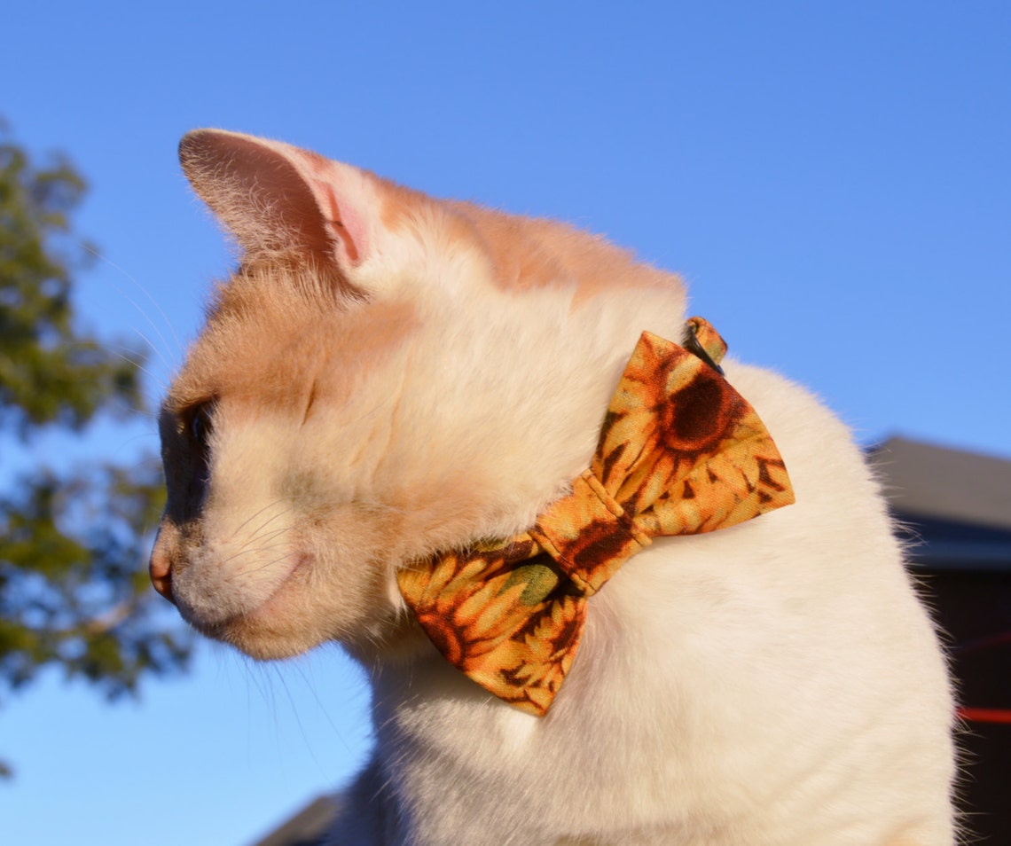 Sunflower Cat Collar Sunflower Cat Bow Tie Collar Fall Cat Etsy