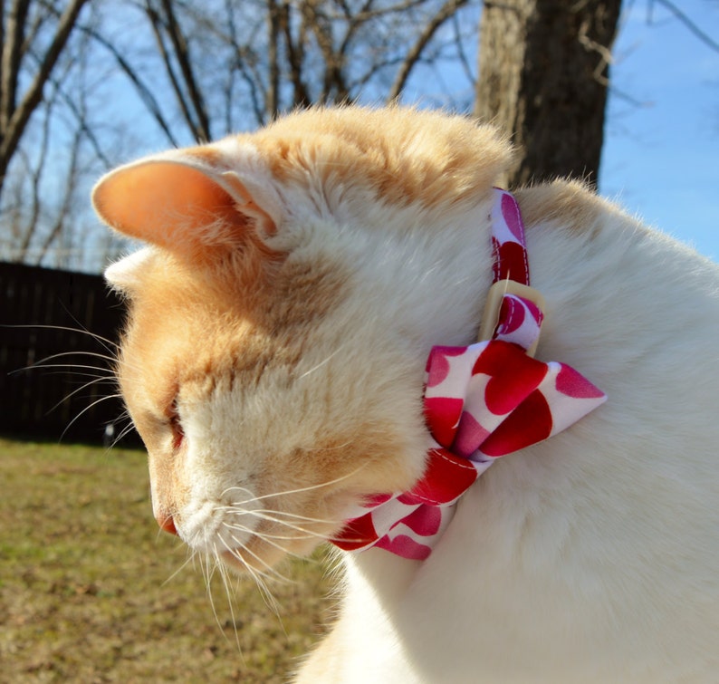 Heart Valentines Cat Collar With Bow Tie Valentines Day Cat Etsy