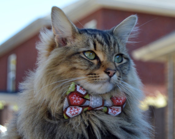 etsy cat tie