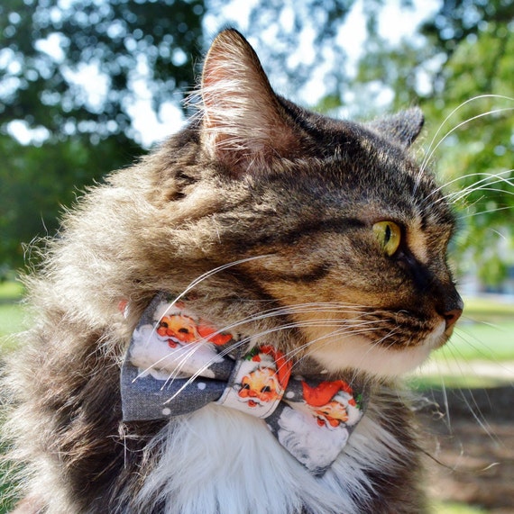Cat christmas clearance bow tie collars