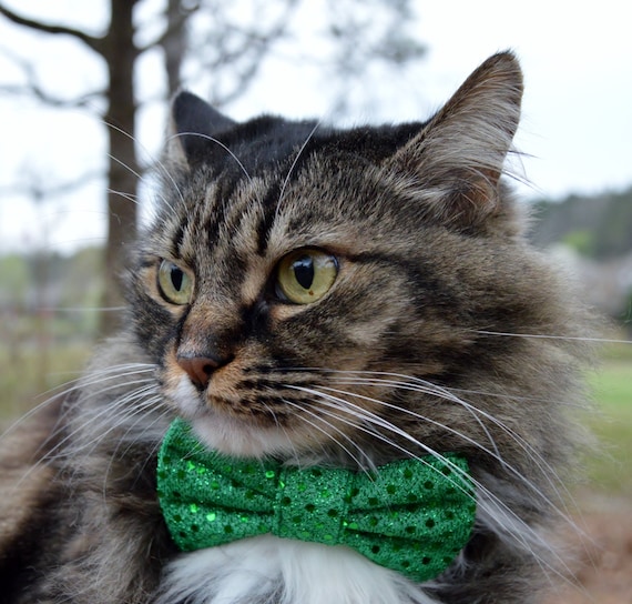 Green Sequin Cat Bow Tie Collar Green Sequin Cat Collar Green